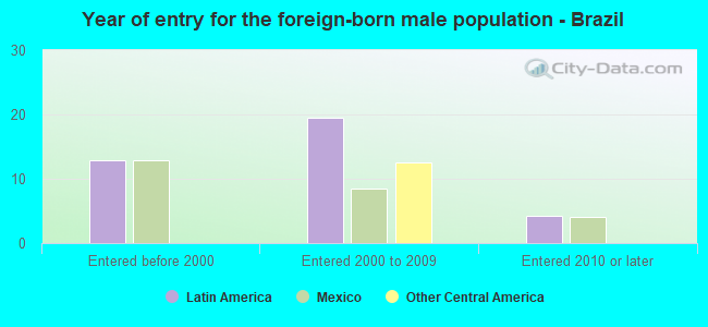 Year of entry for the foreign-born male population - Brazil