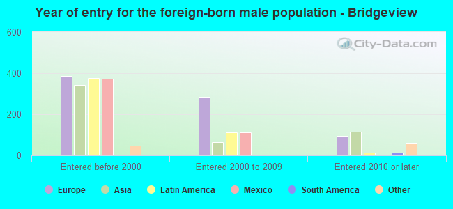 Year of entry for the foreign-born male population - Bridgeview