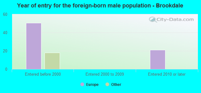 Year of entry for the foreign-born male population - Brookdale