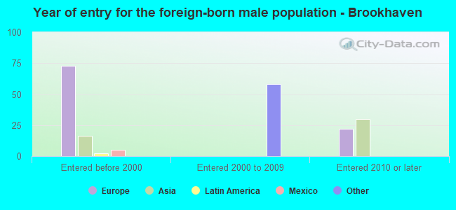 Year of entry for the foreign-born male population - Brookhaven