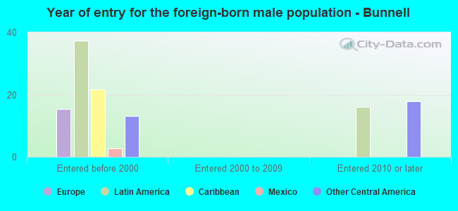 Year of entry for the foreign-born male population - Bunnell