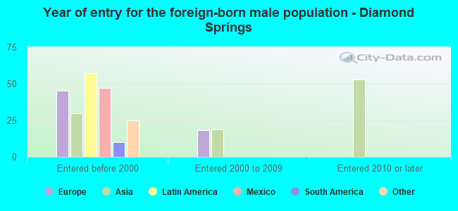 Year of entry for the foreign-born male population - Diamond Springs