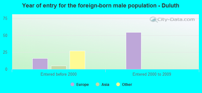 Year of entry for the foreign-born male population - Duluth