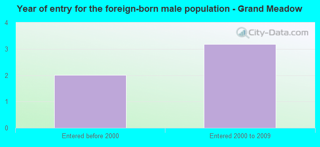 Year of entry for the foreign-born male population - Grand Meadow
