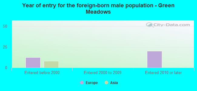 Year of entry for the foreign-born male population - Green Meadows