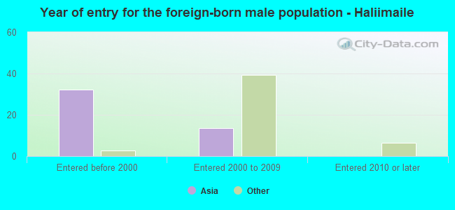 Year of entry for the foreign-born male population - Haliimaile