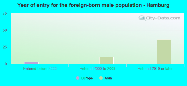 Year of entry for the foreign-born male population - Hamburg