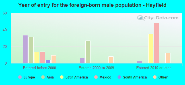 Year of entry for the foreign-born male population - Hayfield
