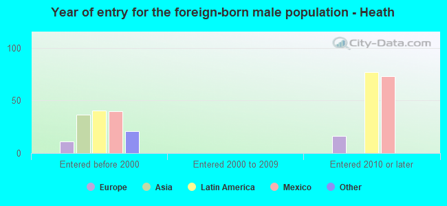 Year of entry for the foreign-born male population - Heath