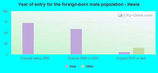 Year of entry for the foreign-born male population - Heeia