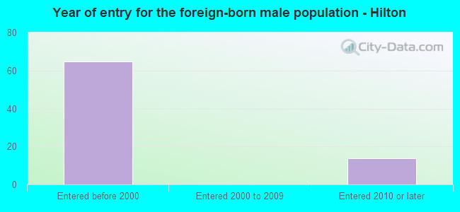 Year of entry for the foreign-born male population - Hilton