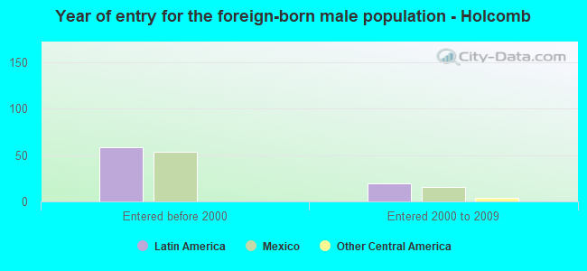 Year of entry for the foreign-born male population - Holcomb