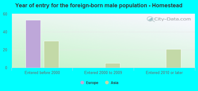 Year of entry for the foreign-born male population - Homestead