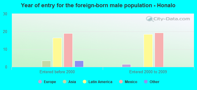 Year of entry for the foreign-born male population - Honalo