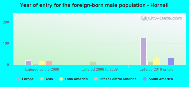 Year of entry for the foreign-born male population - Hornell