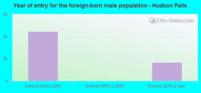 Year of entry for the foreign-born male population - Hudson Falls