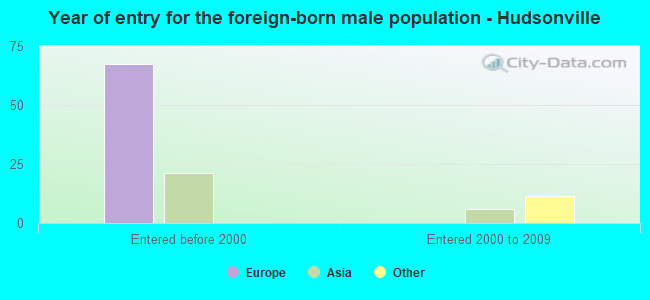 Year of entry for the foreign-born male population - Hudsonville