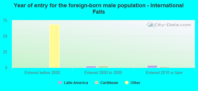 Year of entry for the foreign-born male population - International Falls