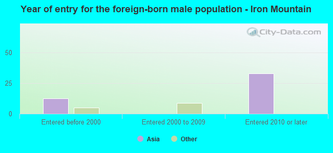 Year of entry for the foreign-born male population - Iron Mountain