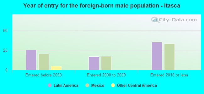 Year of entry for the foreign-born male population - Itasca