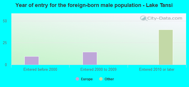 Year of entry for the foreign-born male population - Lake Tansi