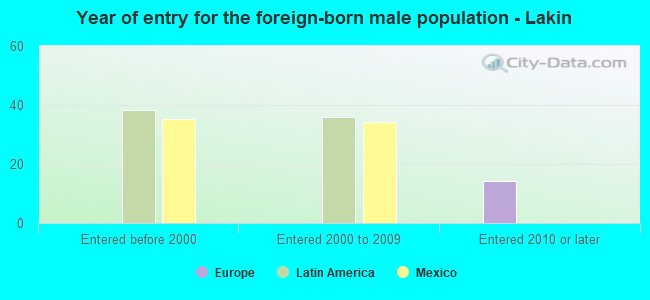Year of entry for the foreign-born male population - Lakin