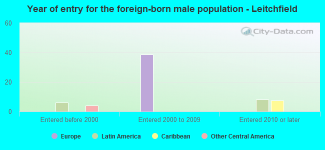 Year of entry for the foreign-born male population - Leitchfield