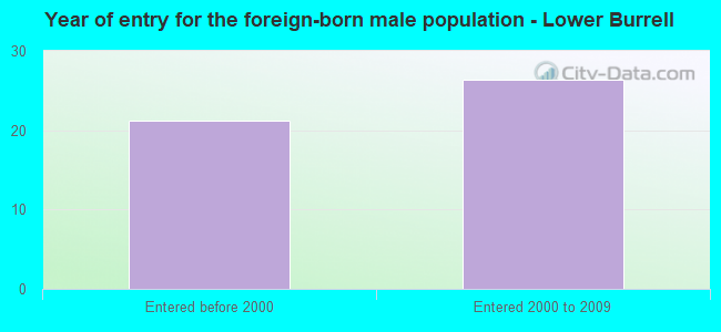 Year of entry for the foreign-born male population - Lower Burrell