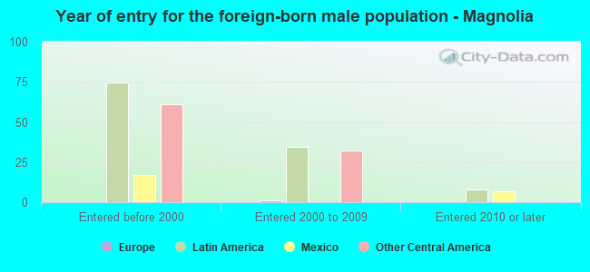 Year of entry for the foreign-born male population - Magnolia