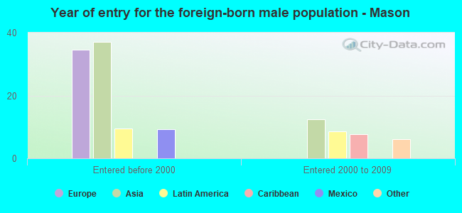Year of entry for the foreign-born male population - Mason