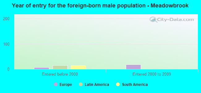 Year of entry for the foreign-born male population - Meadowbrook