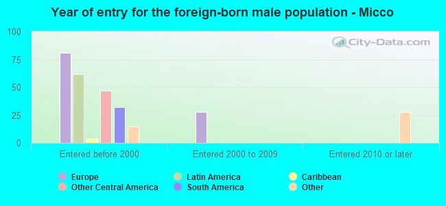 Year of entry for the foreign-born male population - Micco