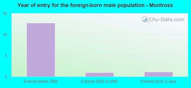 Year of entry for the foreign-born male population - Montross