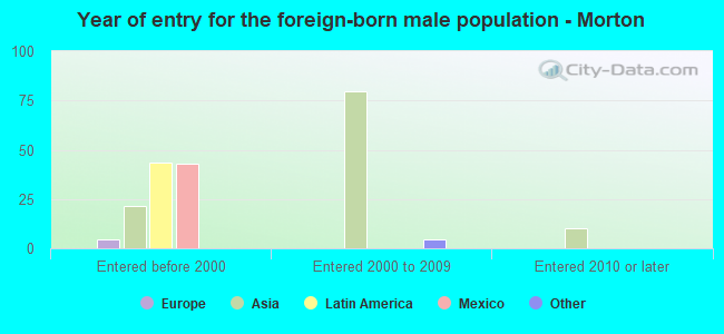 Year of entry for the foreign-born male population - Morton