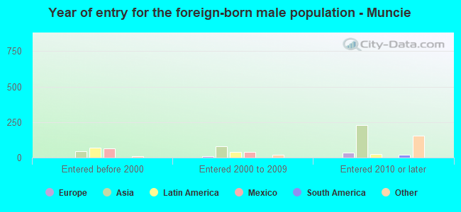 Year of entry for the foreign-born male population - Muncie