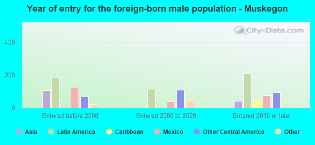 Year of entry for the foreign-born male population - Muskegon