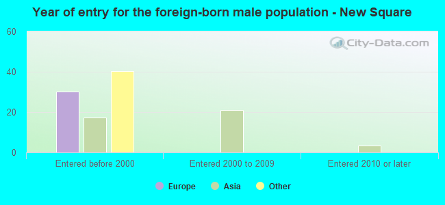 Year of entry for the foreign-born male population - New Square