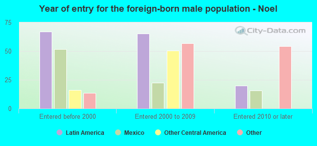 Year of entry for the foreign-born male population - Noel