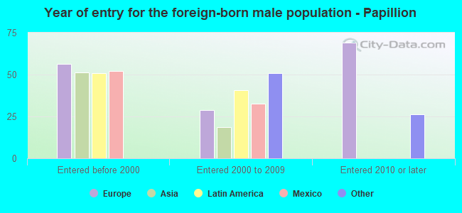 Year of entry for the foreign-born male population - Papillion