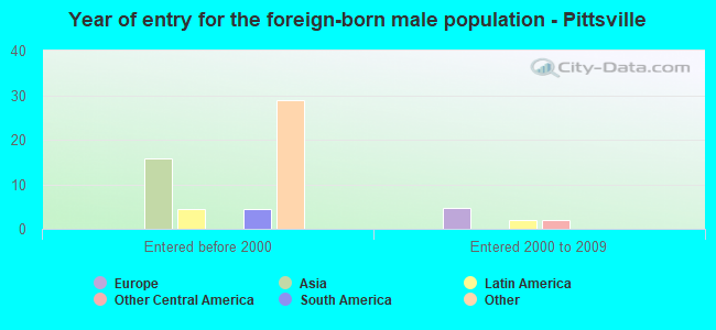 Year of entry for the foreign-born male population - Pittsville