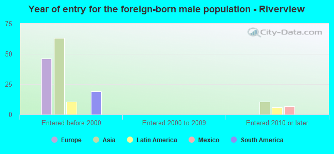 Year of entry for the foreign-born male population - Riverview