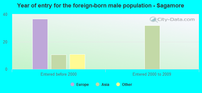 Year of entry for the foreign-born male population - Sagamore