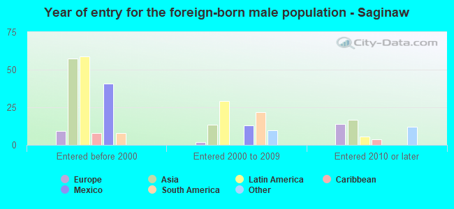 Year of entry for the foreign-born male population - Saginaw