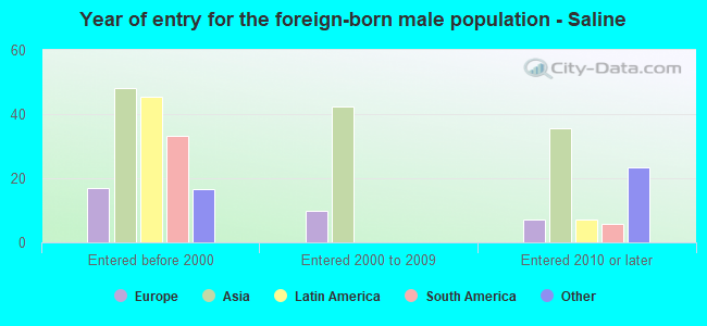 Year of entry for the foreign-born male population - Saline
