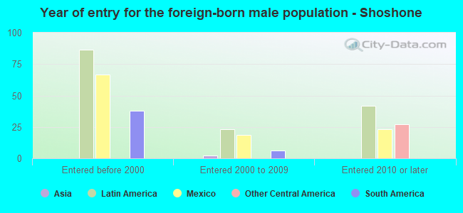 Year of entry for the foreign-born male population - Shoshone