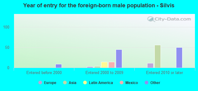 Year of entry for the foreign-born male population - Silvis