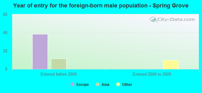Year of entry for the foreign-born male population - Spring Grove