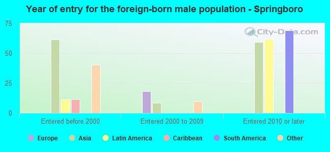 Year of entry for the foreign-born male population - Springboro