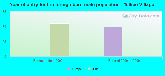 Year of entry for the foreign-born male population - Tellico Village