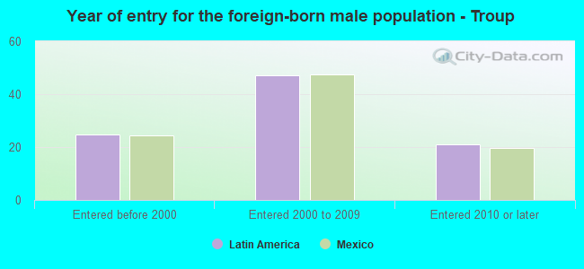 Year of entry for the foreign-born male population - Troup
